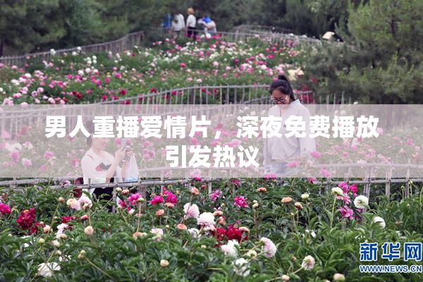 男人重播爱情片，深夜免费播放引发热议