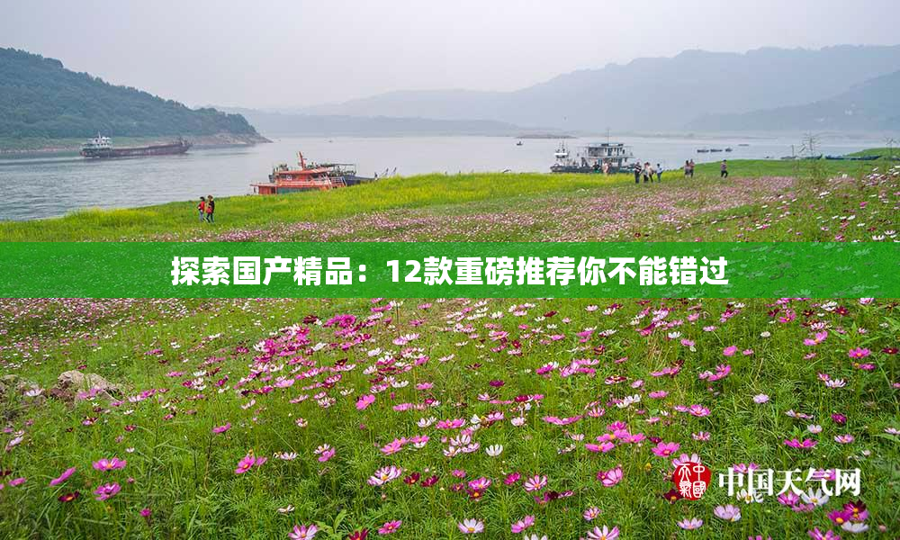 探索国产精品：12款重磅推荐你不能错过