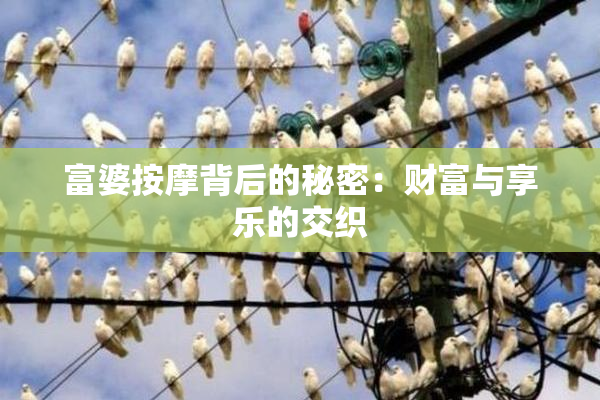 富婆按摩背后的秘密：财富与享乐的交织