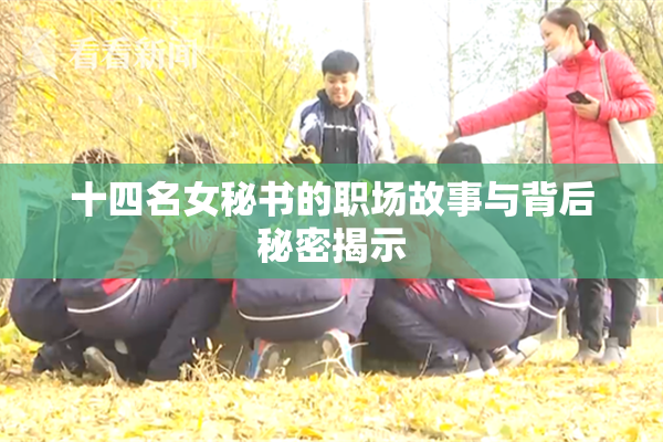 十四名女秘书的职场故事与背后秘密揭示