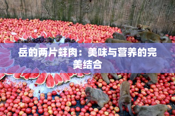 岳的两片蚌肉：美味与营养的完美结合