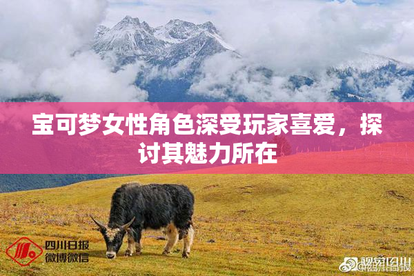 宝可梦女性角色深受玩家喜爱，探讨其魅力所在