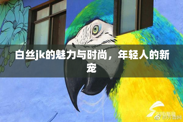 白丝jk的魅力与时尚，年轻人的新宠