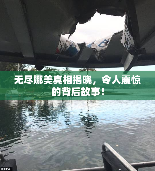 无尽娜美真相揭晓，令人震惊的背后故事！