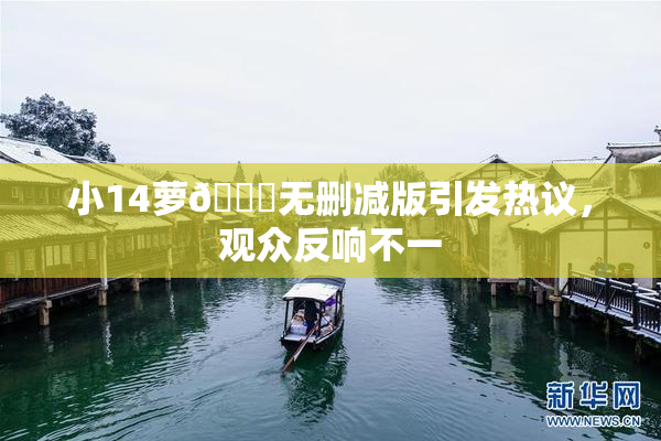 小14萝🔞无删减版引发热议，观众反响不一