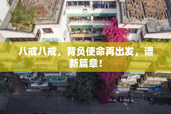 八戒八戒，背负使命再出发，谱新篇章！