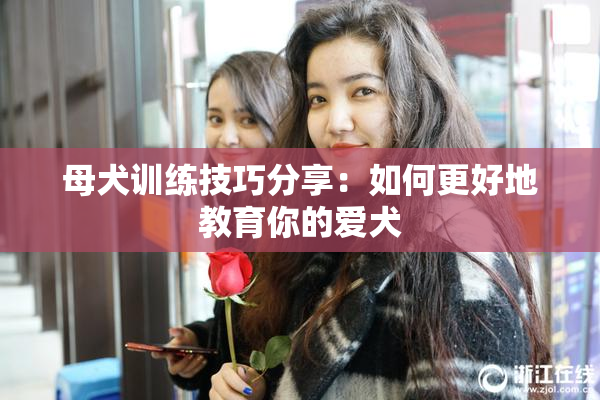 母犬训练技巧分享：如何更好地教育你的爱犬