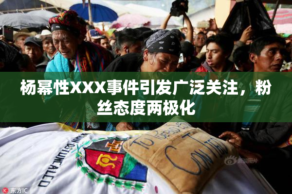 杨幂性XXX事件引发广泛关注，粉丝态度两极化