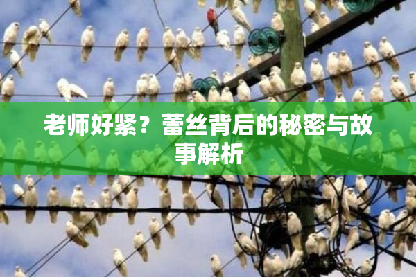 老师好紧？蕾丝背后的秘密与故事解析