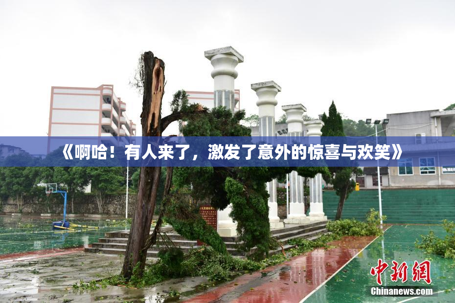 《啊哈！有人来了，激发了意外的惊喜与欢笑》