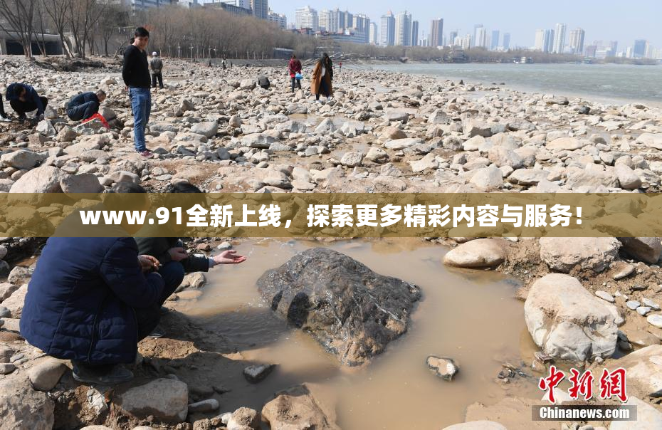 www.91全新上线，探索更多精彩内容与服务！