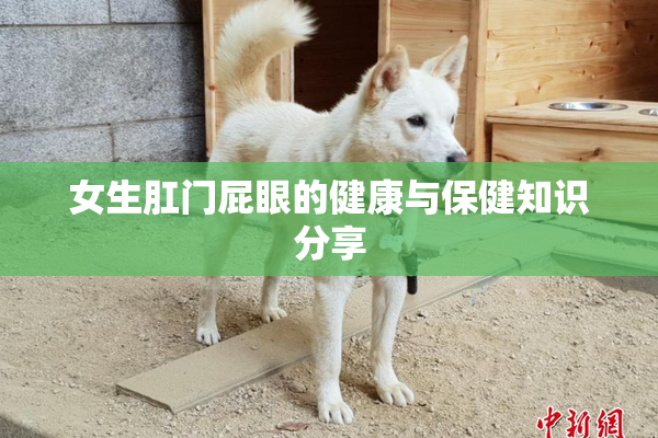 女生肛门屁眼的健康与保健知识分享