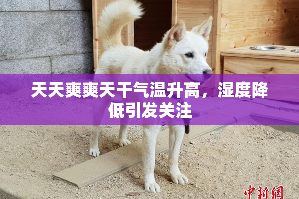 天天爽爽天干气温升高，湿度降低引发关注