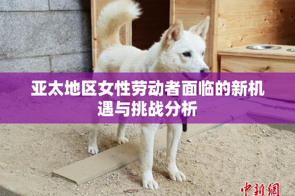 亚太地区女性劳动者面临的新机遇与挑战分析
