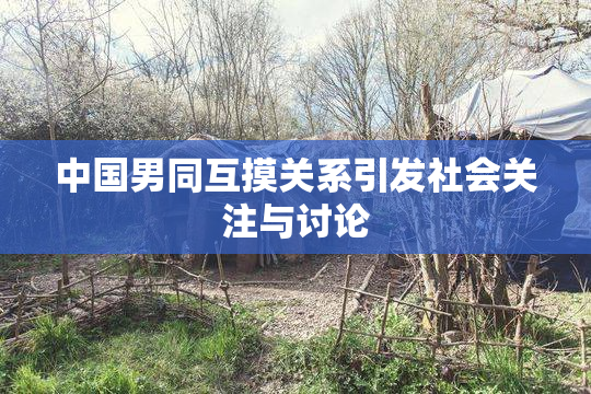 中国男同互摸关系引发社会关注与讨论