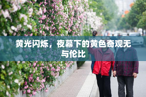 黄光闪烁，夜幕下的黄色奇观无与伦比