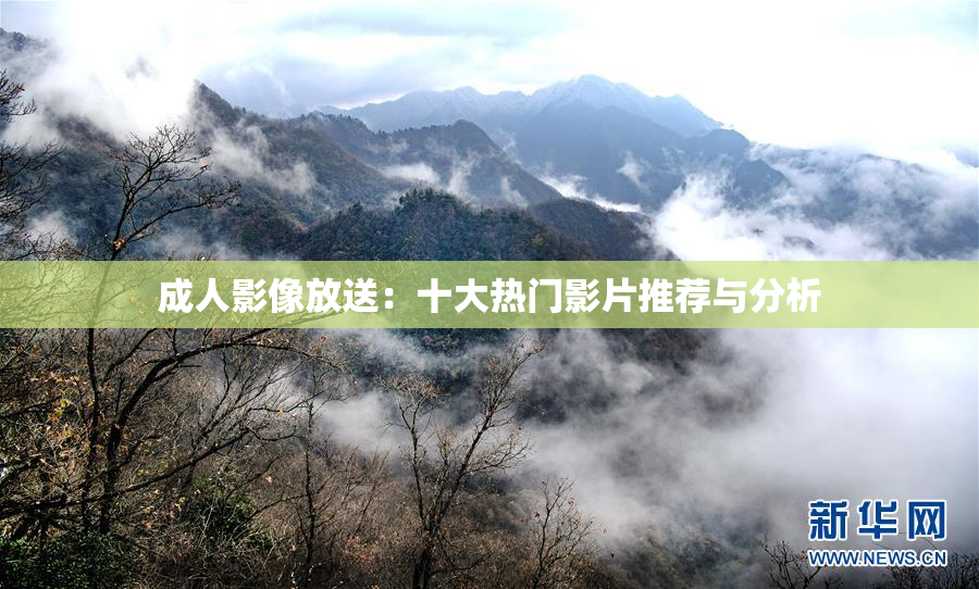 成人影像放送：十大热门影片推荐与分析