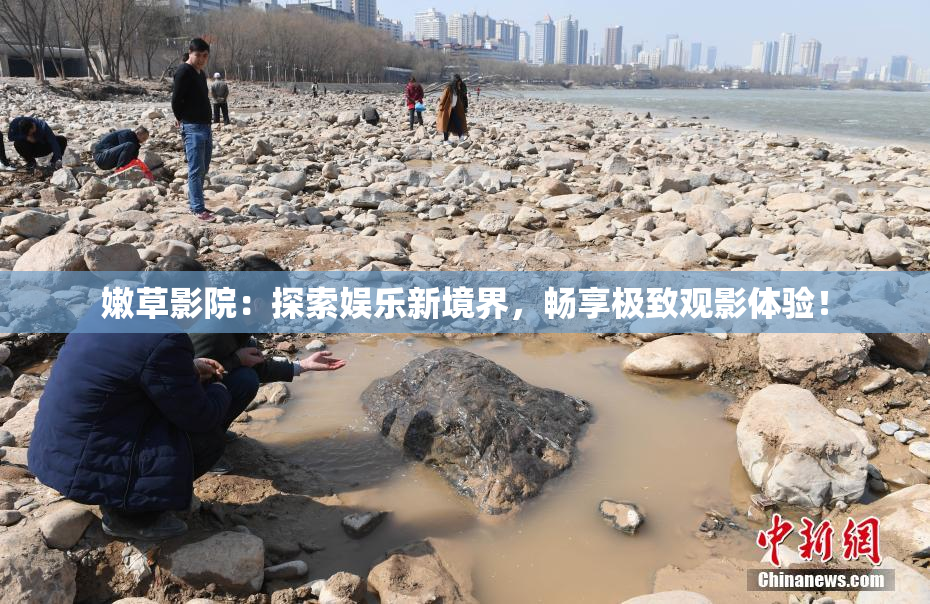 嫩草影院：探索娱乐新境界，畅享极致观影体验！