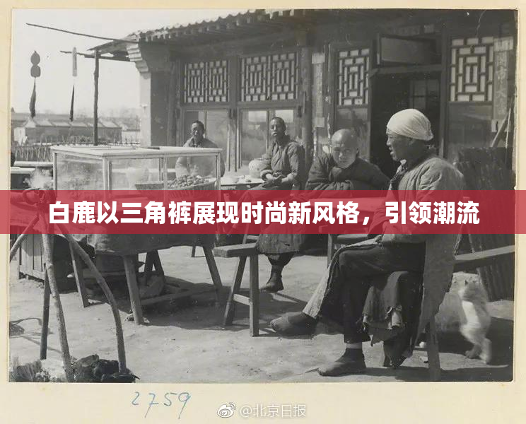 白鹿以三角裤展现时尚新风格，引领潮流