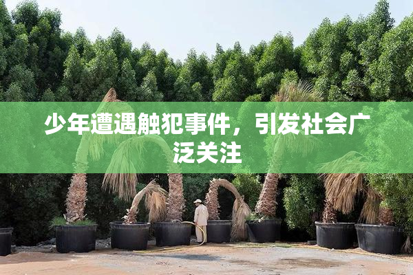 少年遭遇触犯事件，引发社会广泛关注