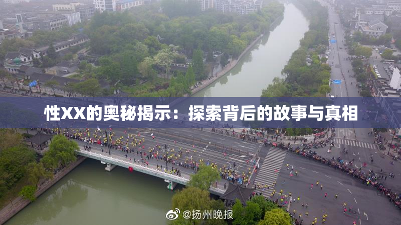 性XX的奥秘揭示：探索背后的故事与真相