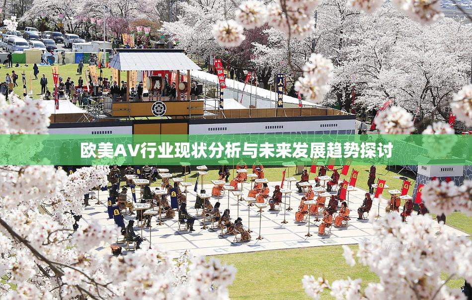 欧美AV行业现状分析与未来发展趋势探讨