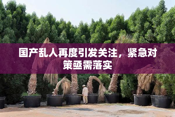 国产乱人再度引发关注，紧急对策亟需落实