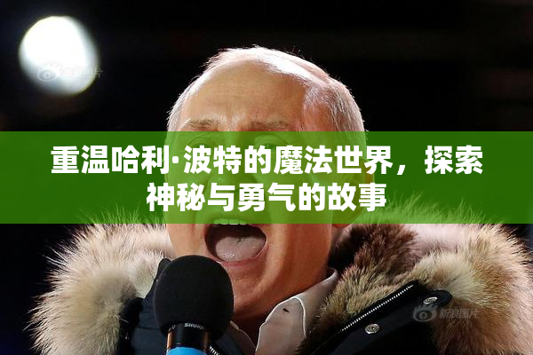重温哈利·波特的魔法世界，探索神秘与勇气的故事