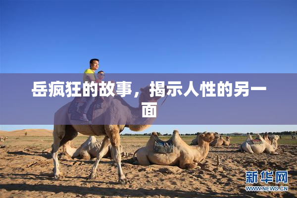岳疯狂的故事，揭示人性的另一面
