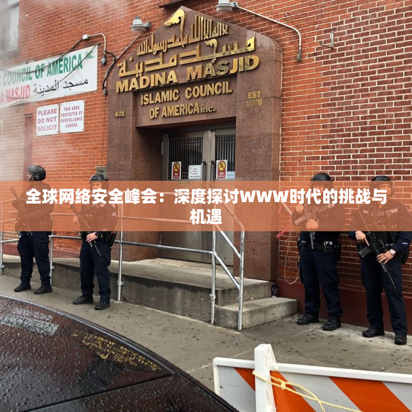 全球网络安全峰会：深度探讨WWW时代的挑战与机遇