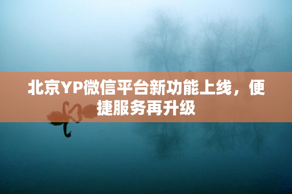 北京YP微信平台新功能上线，便捷服务再升级