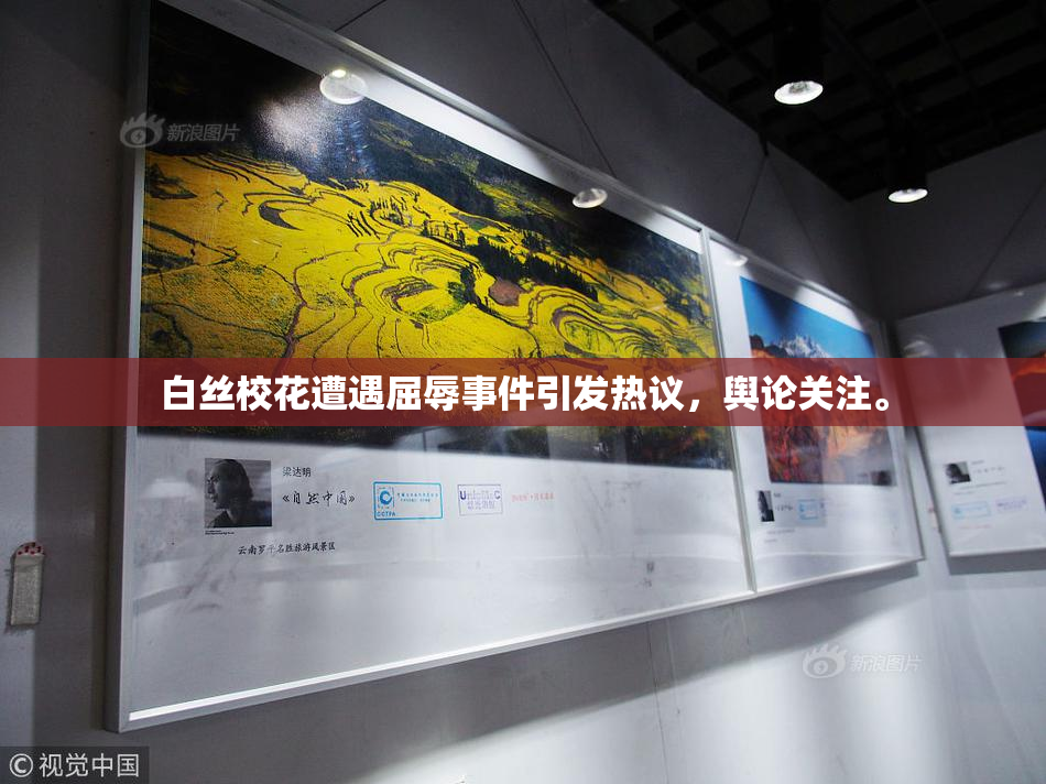 白丝校花遭遇屈辱事件引发热议，舆论关注。