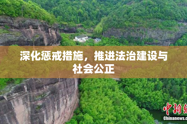 深化惩戒措施，推进法治建设与社会公正