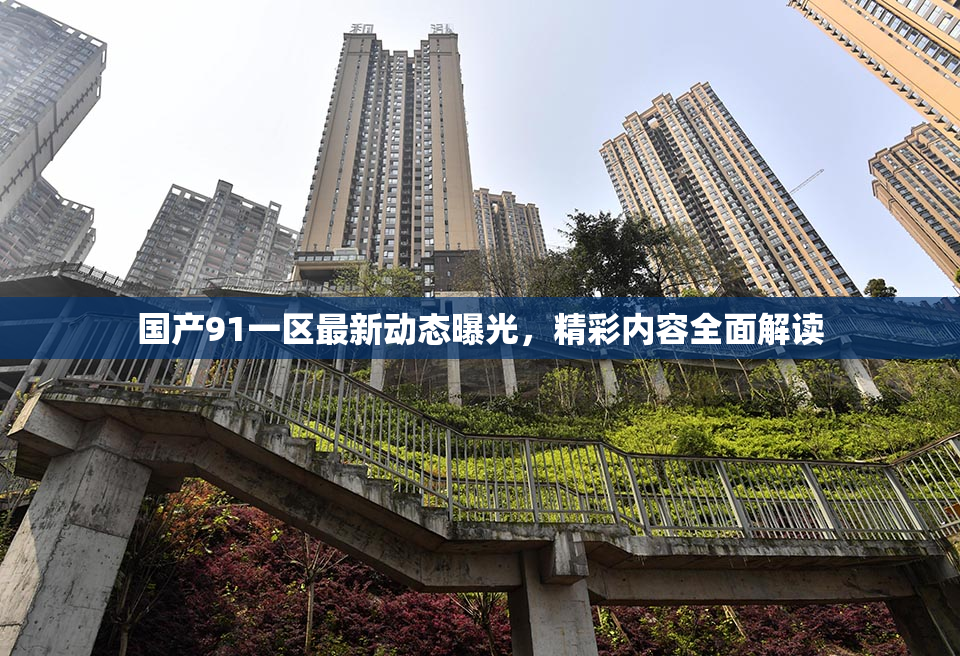 国产91一区最新动态曝光，精彩内容全面解读