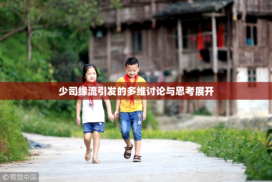 少司缘流引发的多维讨论与思考展开