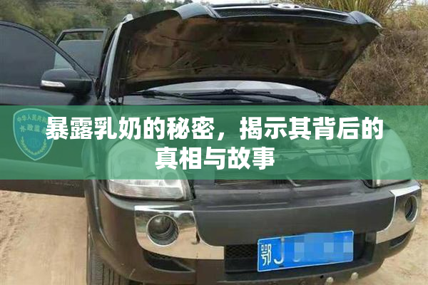 暴露乳奶的秘密，揭示其背后的真相与故事