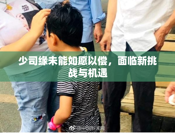 少司缘未能如愿以偿，面临新挑战与机遇