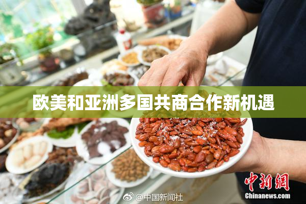 欧美和亚洲多国共商合作新机遇