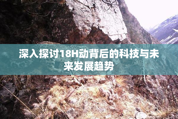 深入探讨18H动背后的科技与未来发展趋势