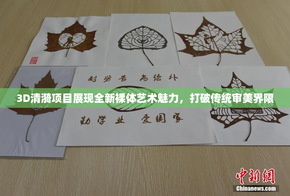 3D清漪项目展现全新裸体艺术魅力，打破传统审美界限