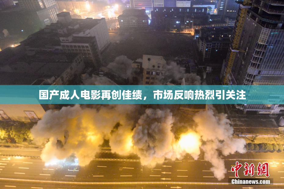 国产成人电影再创佳绩，市场反响热烈引关注