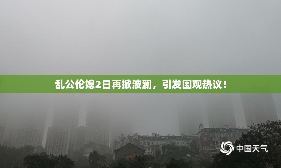 乱公伦媳2日再掀波澜，引发围观热议！