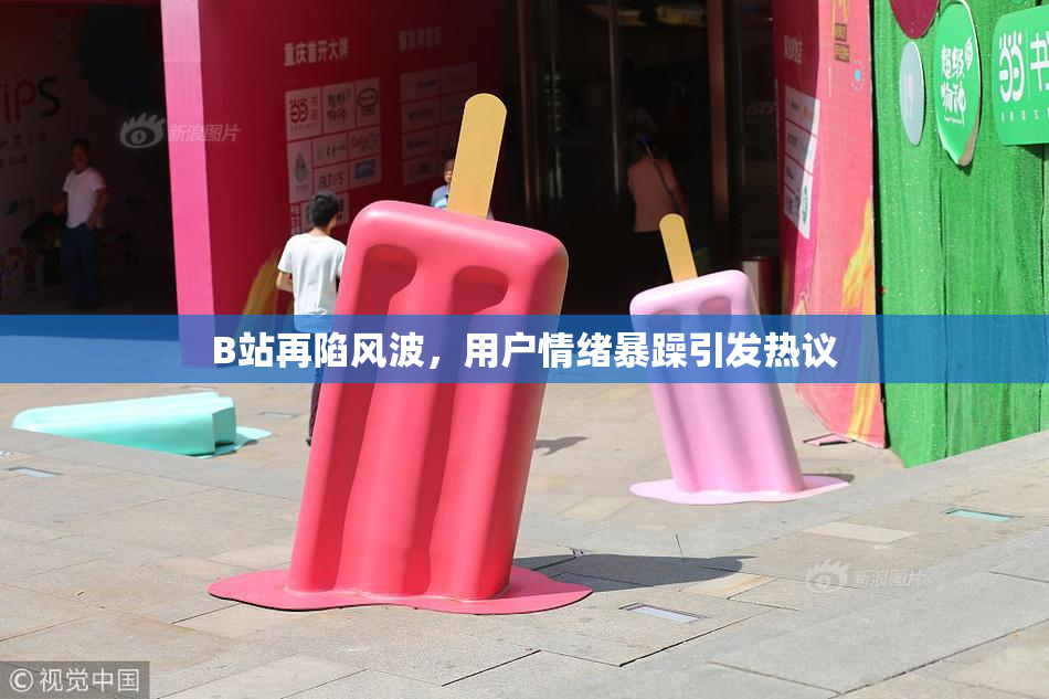B站再陷风波，用户情绪暴躁引发热议