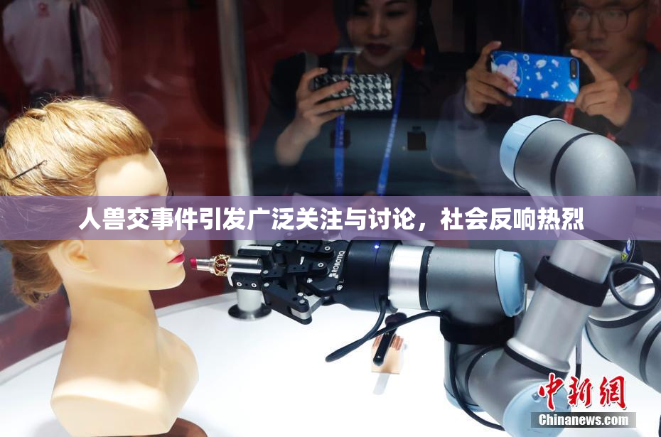 人兽交事件引发广泛关注与讨论，社会反响热烈