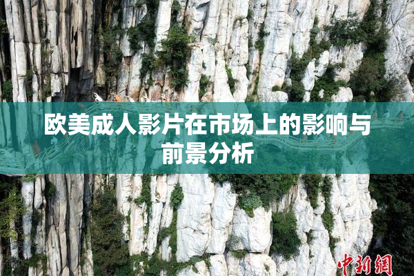 欧美成人影片在市场上的影响与前景分析