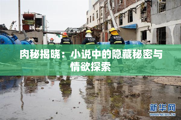 肉秘揭晓：小说中的隐藏秘密与情欲探索