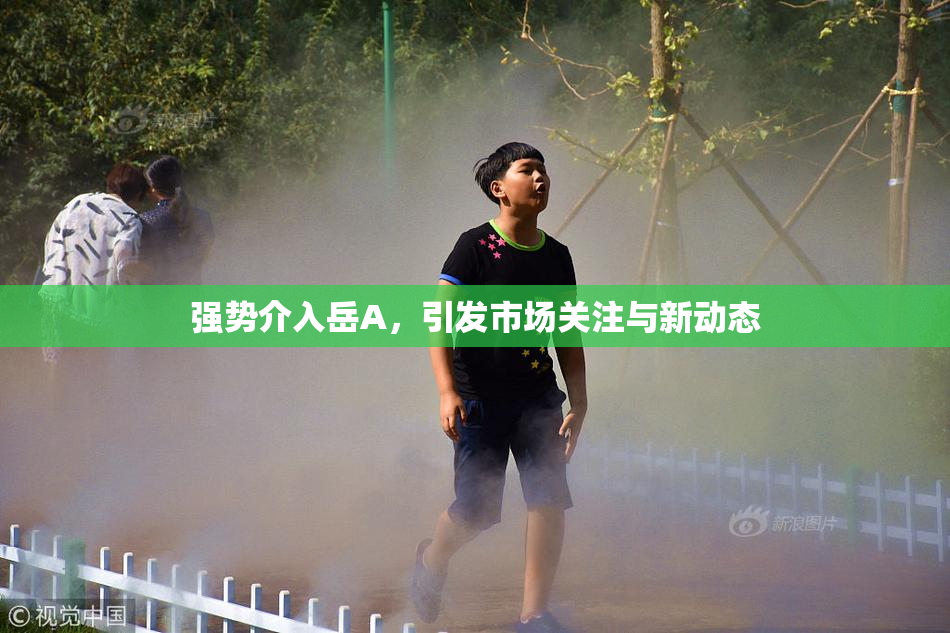强势介入岳A，引发市场关注与新动态