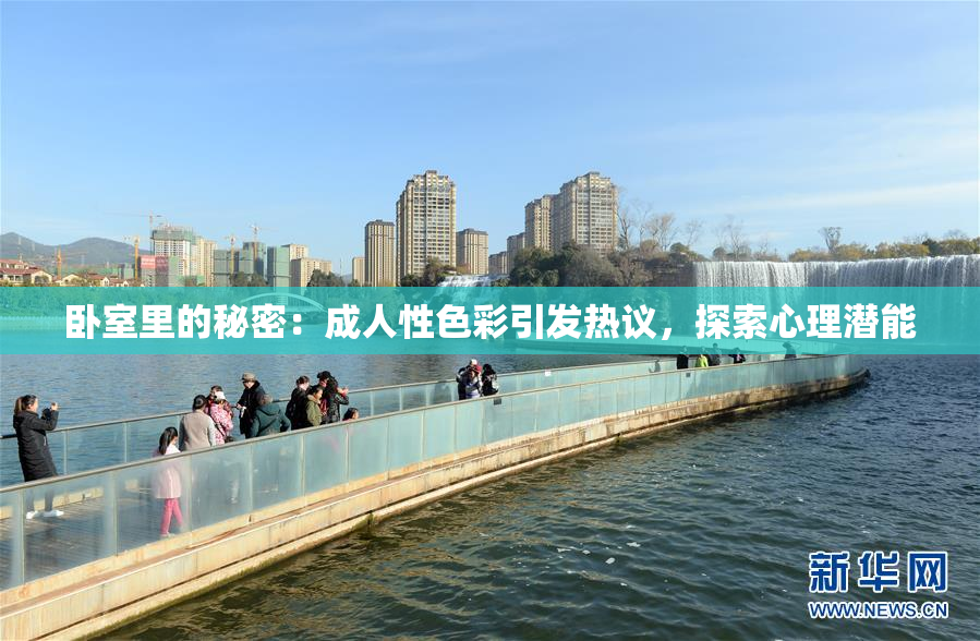 卧室里的秘密：成人性色彩引发热议，探索心理潜能