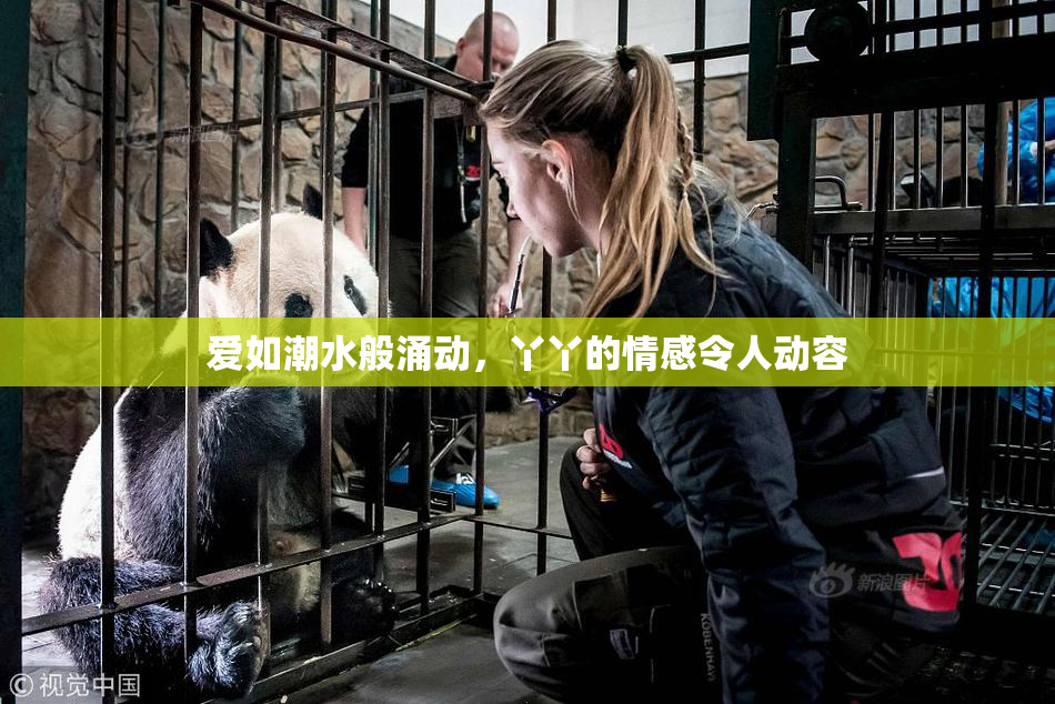 爱如潮水般涌动，丫丫的情感令人动容