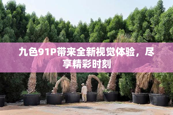 九色91P带来全新视觉体验，尽享精彩时刻